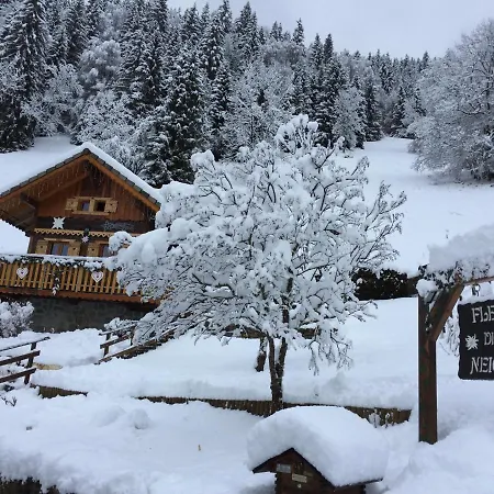 Fleur Des Neiges Saint-Jean-dʼAulps