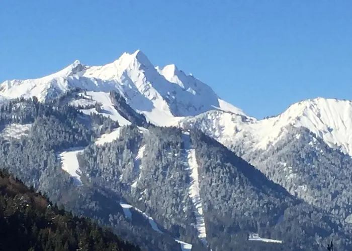 Fleur Des Neiges Chalet *