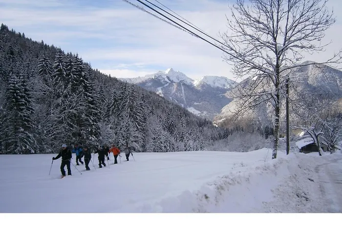 Chalet Fleur Des Neiges