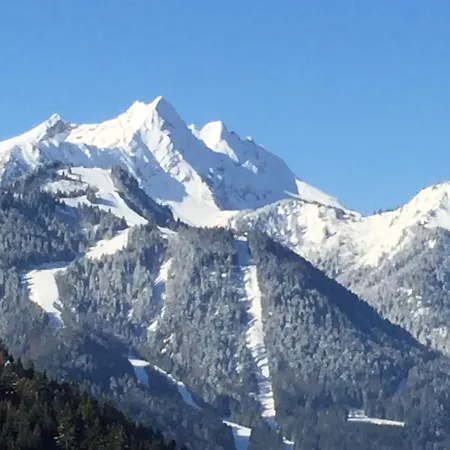 Fleur Des Neiges Chalet *