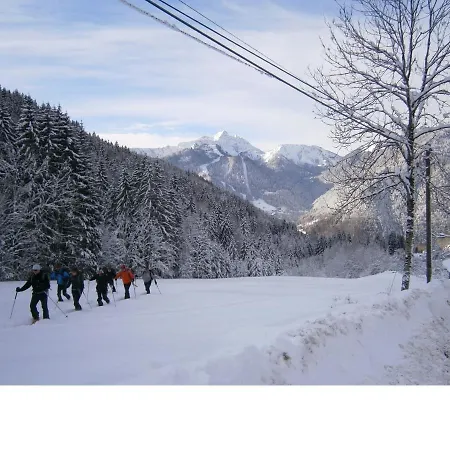 Chalet Fleur Des Neiges