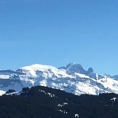 Fleur Des Neiges Chalet
