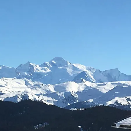 Chalet Fleur Des Neiges *